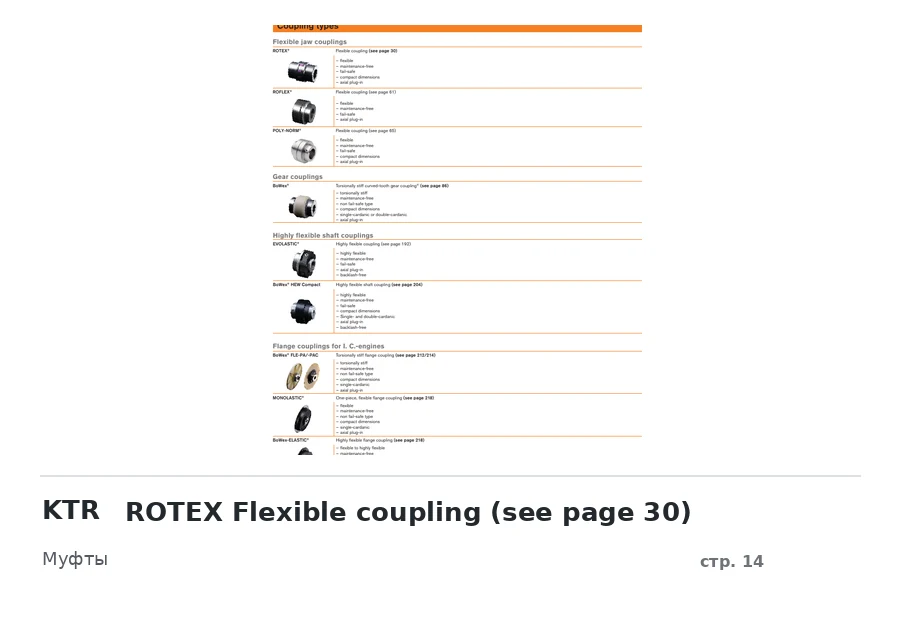 KTR ROTEX Flexible coupling (see page 30)