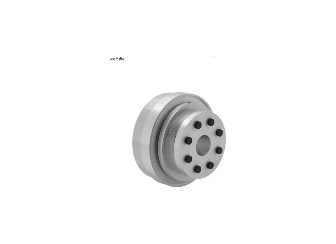 RINGSPANN SWK-CP 30