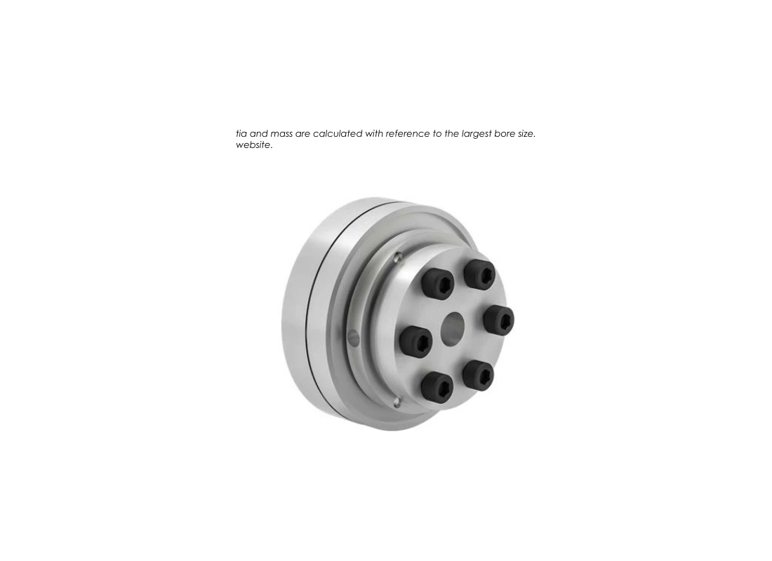 RINGSPANN SWK-LK 100