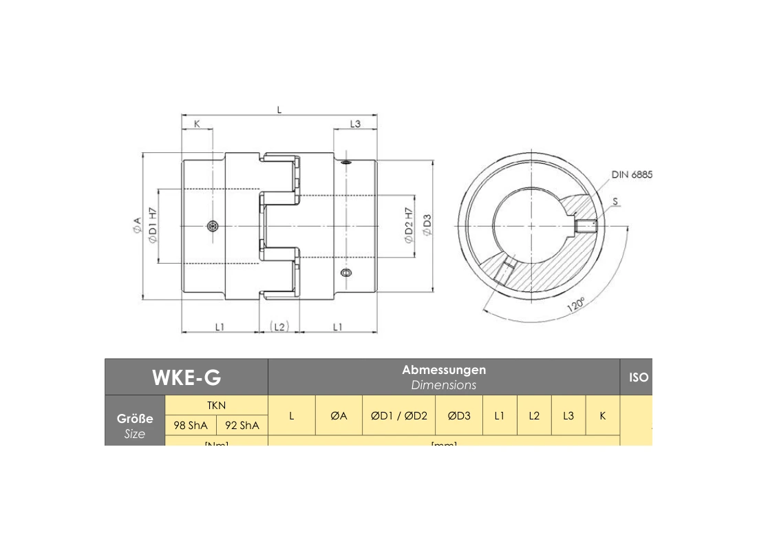 RINGSPANN RDA 0110 ESO