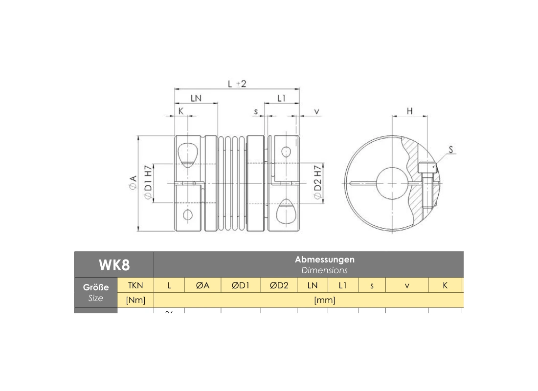 RINGSPANN RDL 0140 DSO