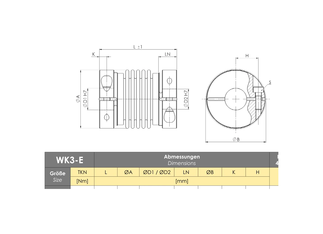 RINGSPANN RDZ 0050 DTO