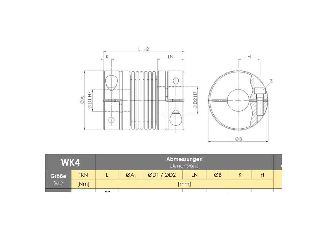 RINGSPANN RDZ 0080 DFO
