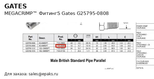 Gates G25795-0808