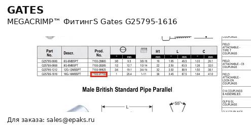 Gates G25795-1616