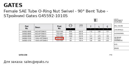 Gates G45592-1010S