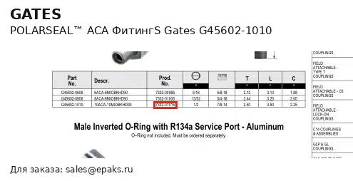 Gates G45602-1010