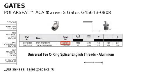 Gates G45613-0808
