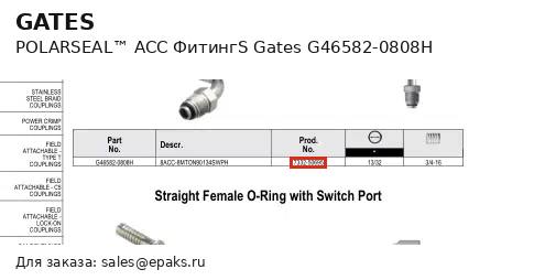Gates G46582-0808H