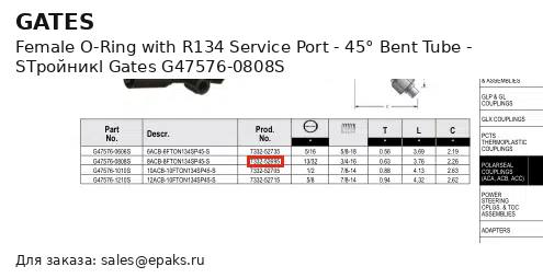 Gates G47576-0808S